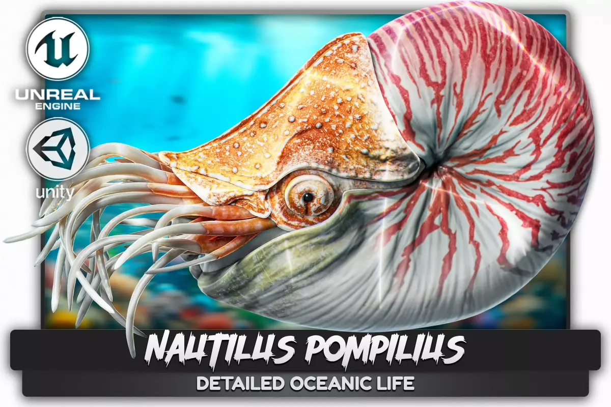 Nautilus Pompilius - Shell Mollusk - Underwater Tentacles - 44 Low-poly 3D model