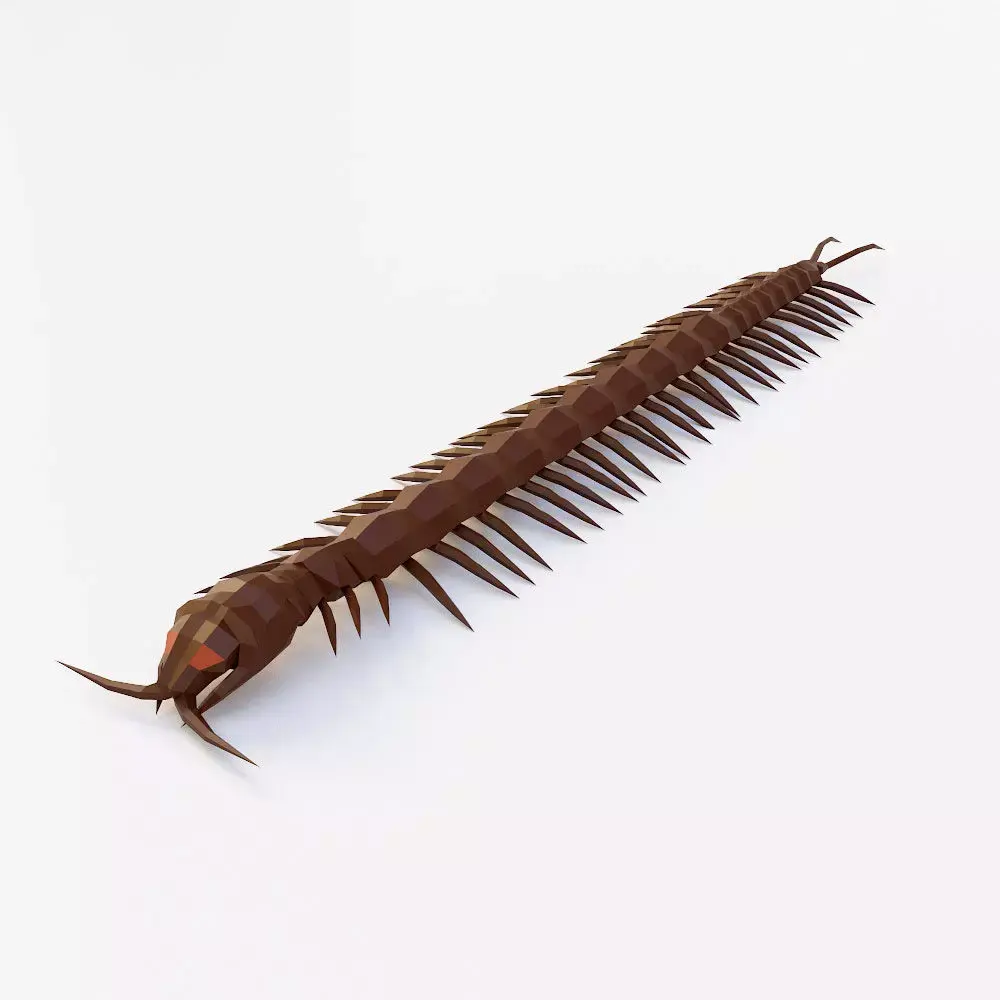 Centipede low poly 3d model Low-poly 3D model
