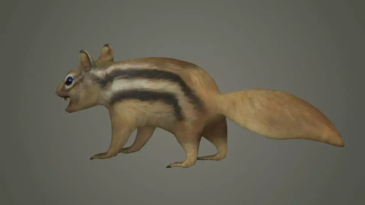 squirrel cute animal mammal wildlife little hamster marmot 3D model