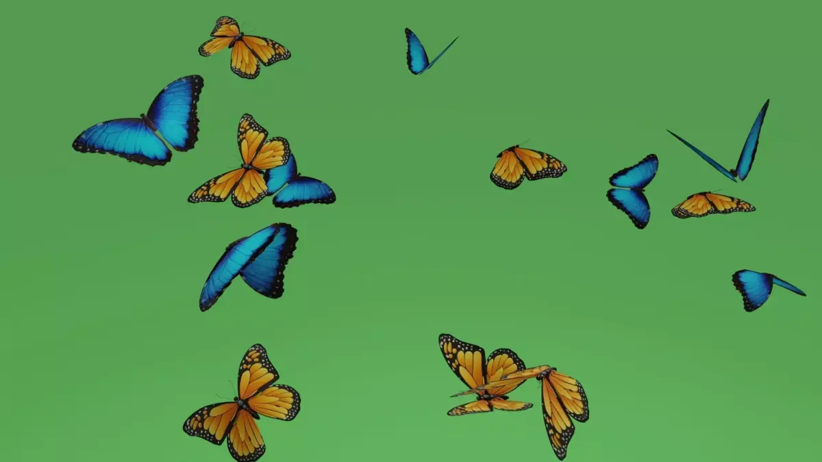 butterflies animation Low-poly 3D model buy