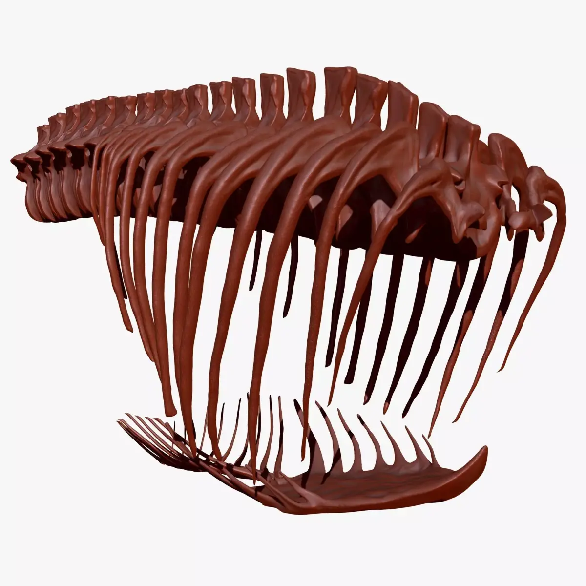 Dinosaur Giganotosaurus Rib Set Skeletons 3D model