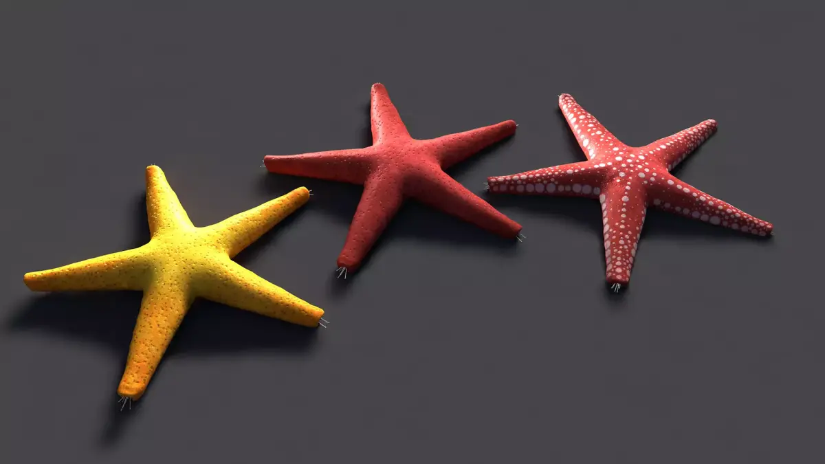 Red Star Fish Low-poly 3D model