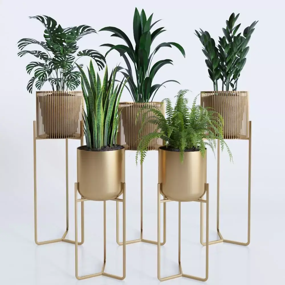 plant collection RPM 01 3D model