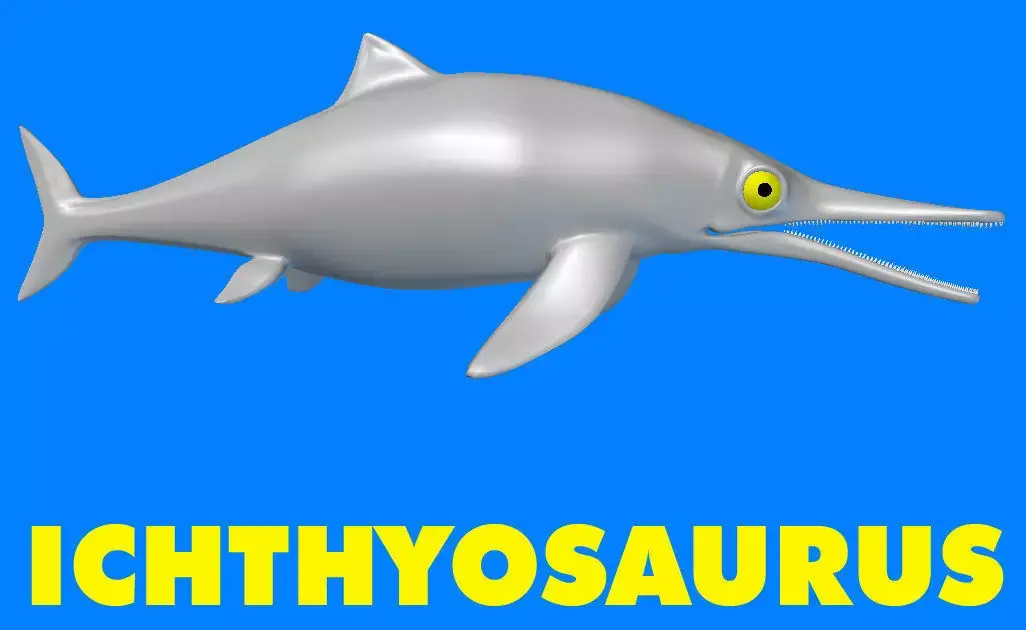 Ichthyosaurus dolphin 3D model