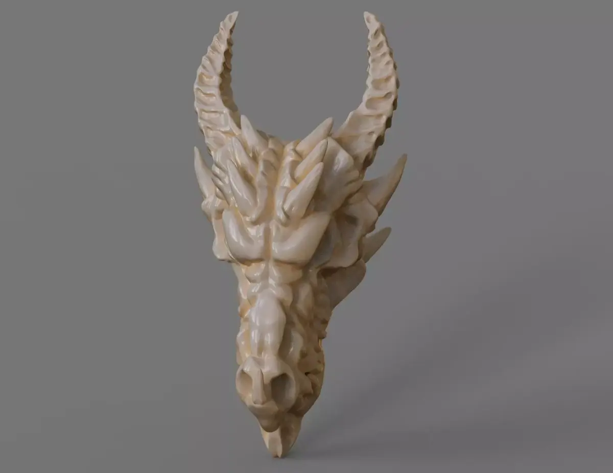 Dragon skull 3D print model