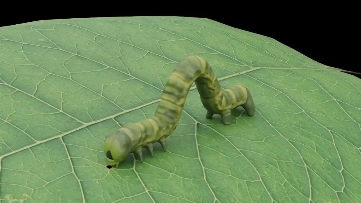 Caterpillar as low-poly model Low-poly 3D model