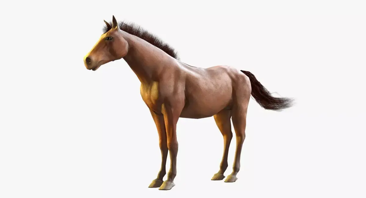 Horse Textured Low-poly 3D model