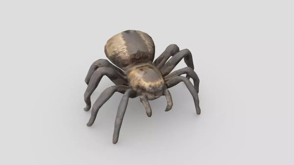 Tarantula Low-poly 3D model