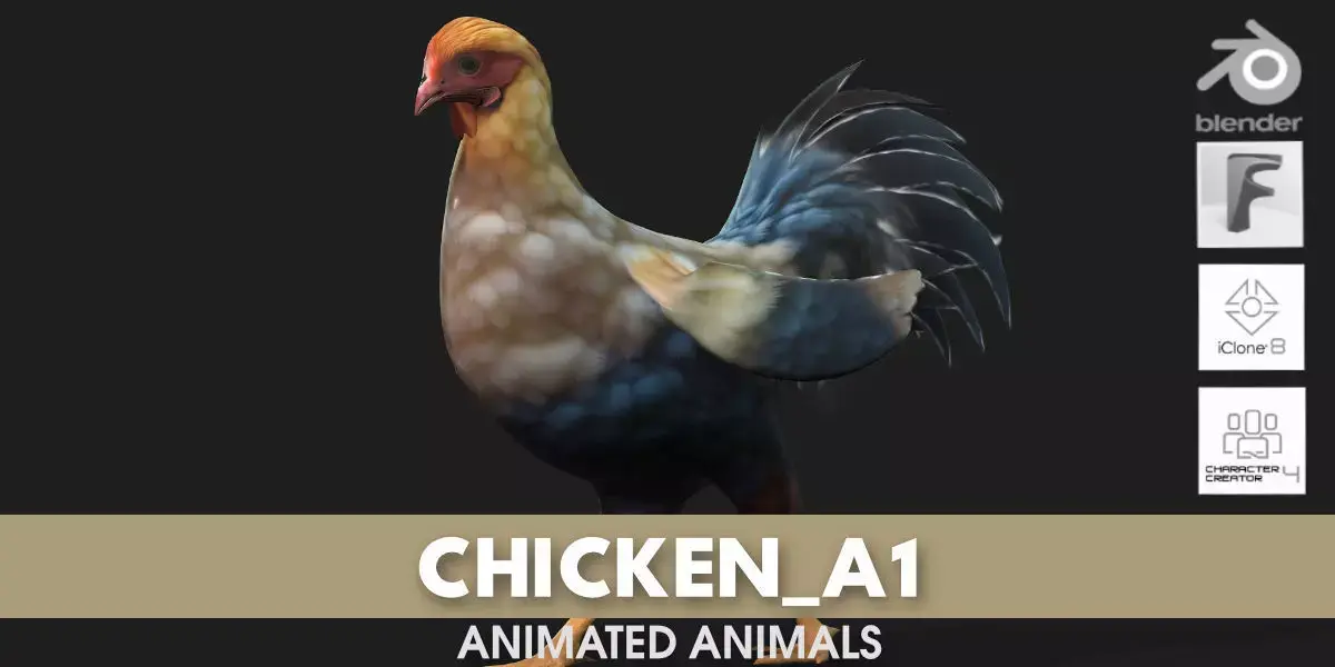 Chicken A1 3D model