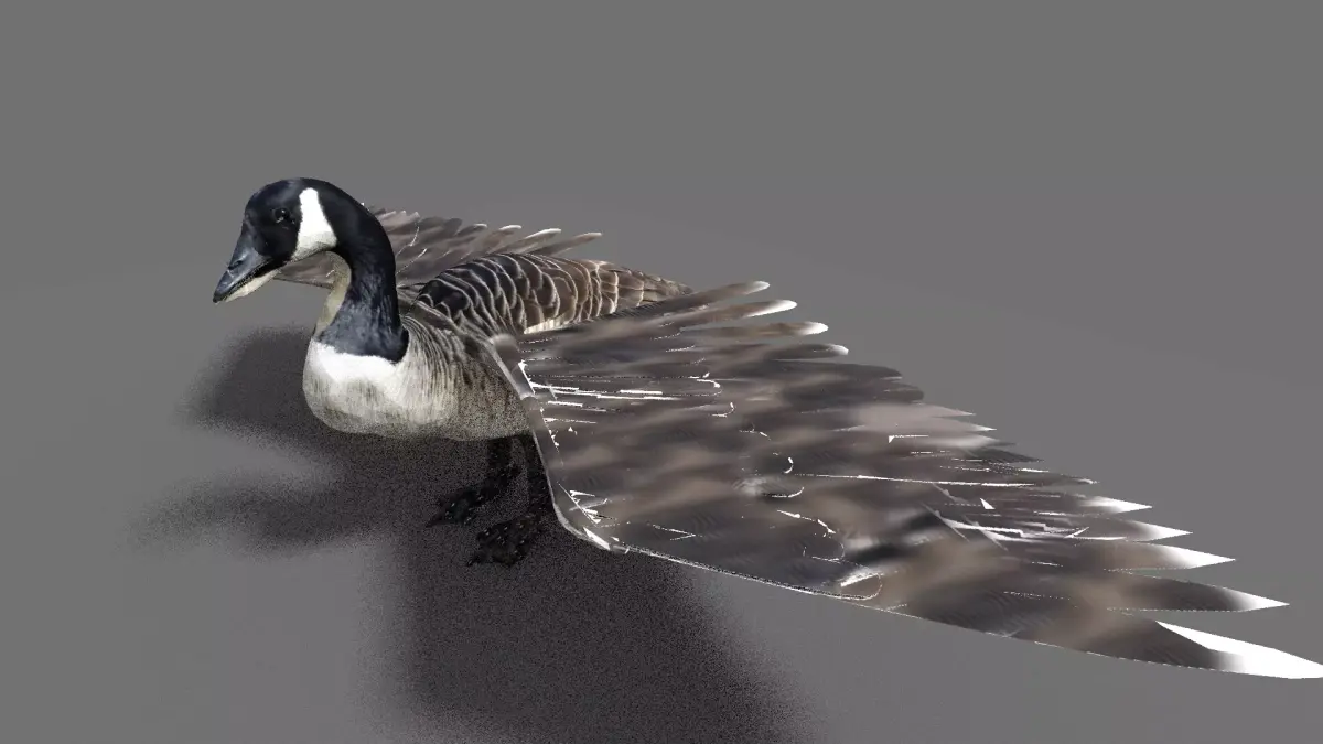goose canadian with wings spread 3D model