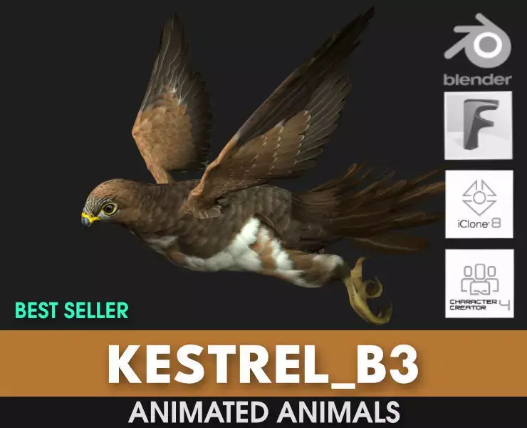 Kestrel B3 3D model