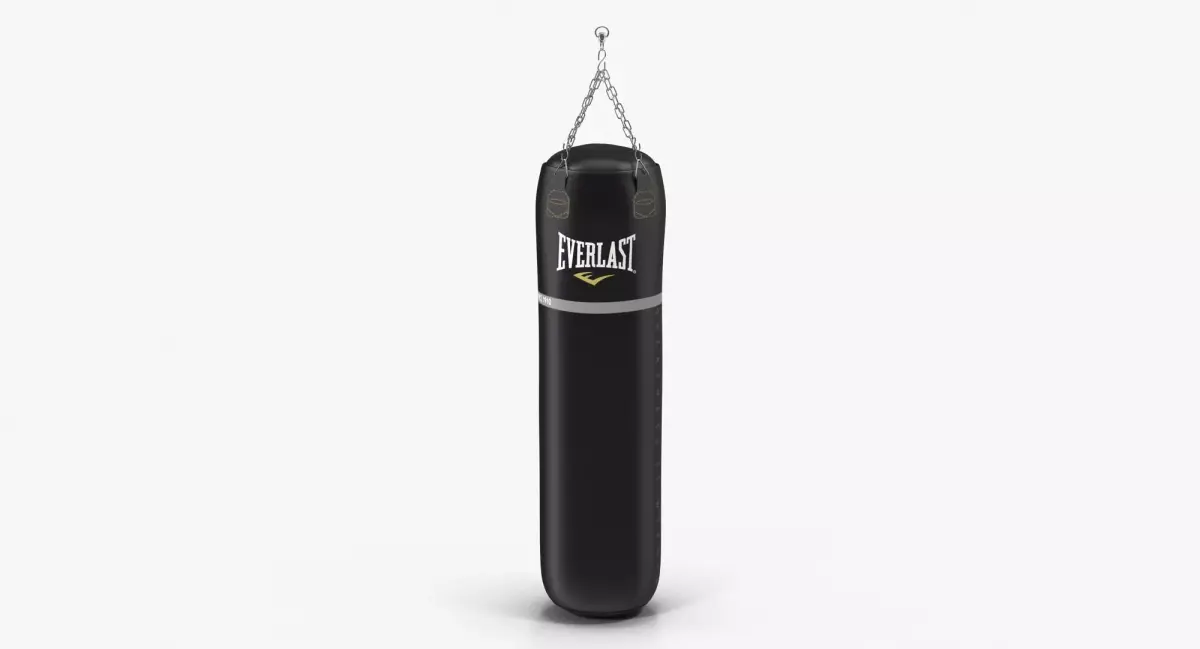 Everlast Super Leather Heavy Punching Bag Low-poly 3D model