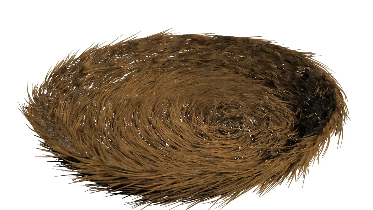 bird nest 3D model shop