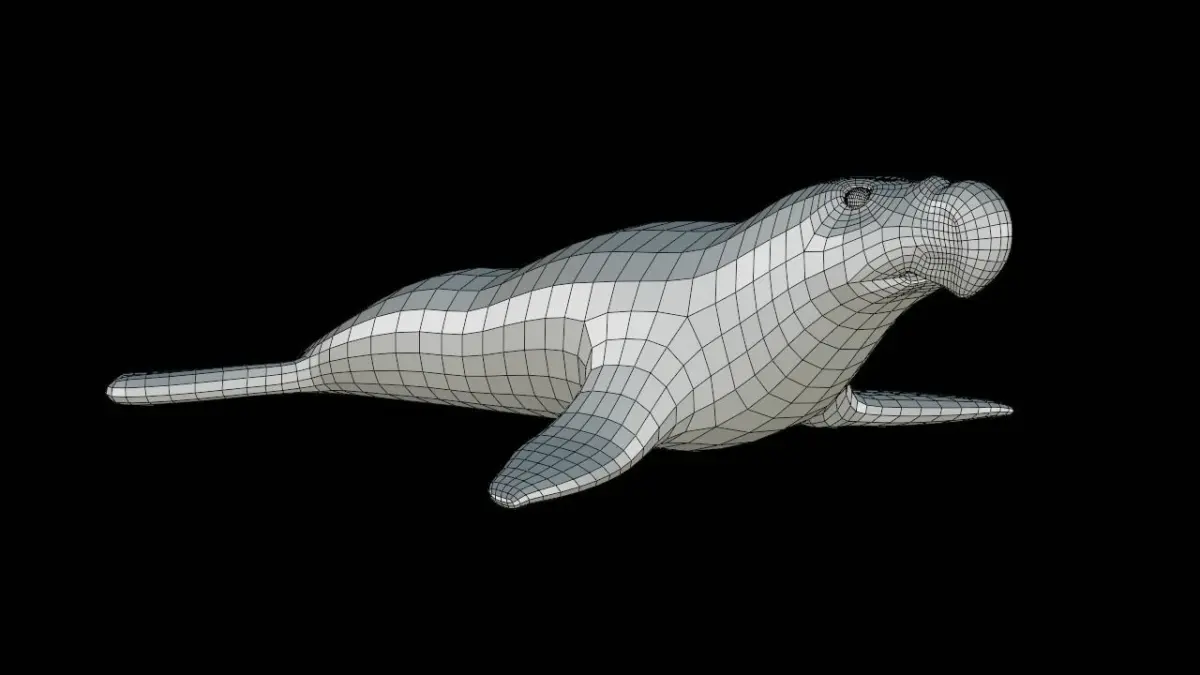 Elephant Seal Base Mesh Low-poly 3D model