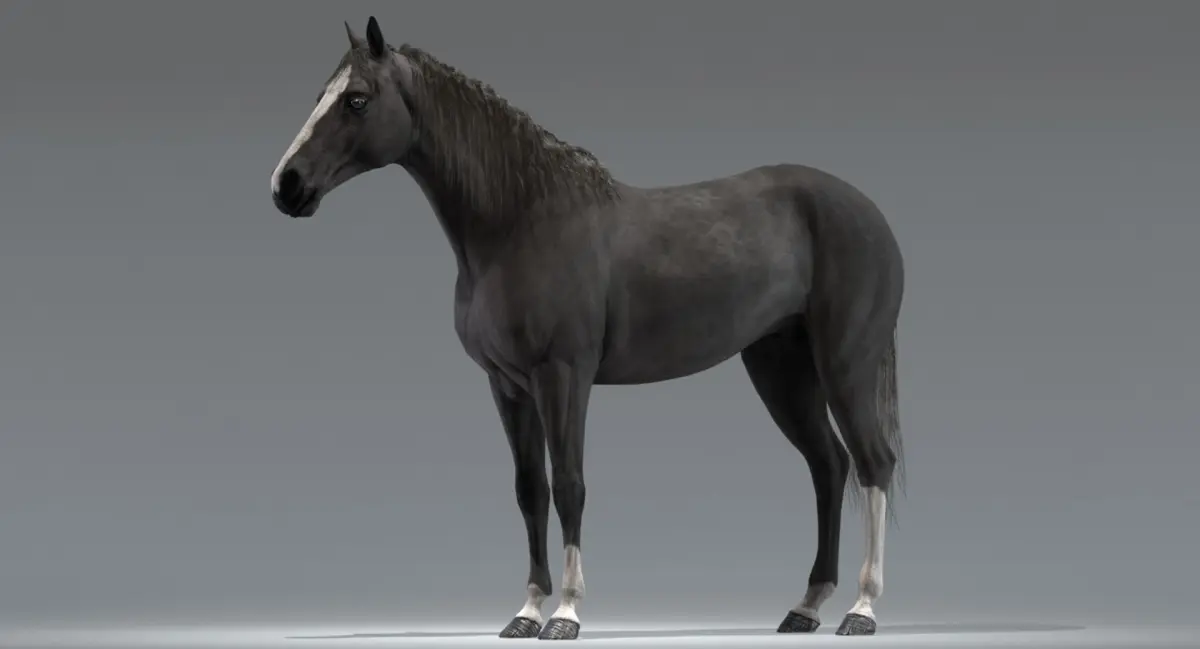 Horse Black Rigged 3D model