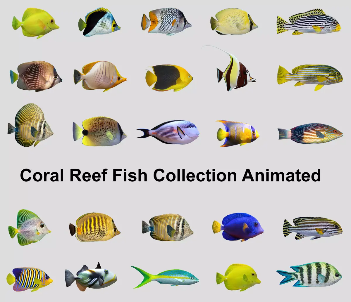 Coral Reef Fish Collection Animated - Game Ready Pack 9 Low-poly 3D model