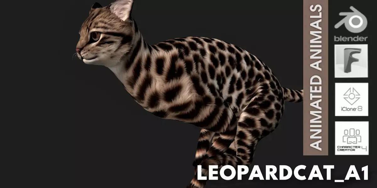 LeopardCat A1 Free 3D model