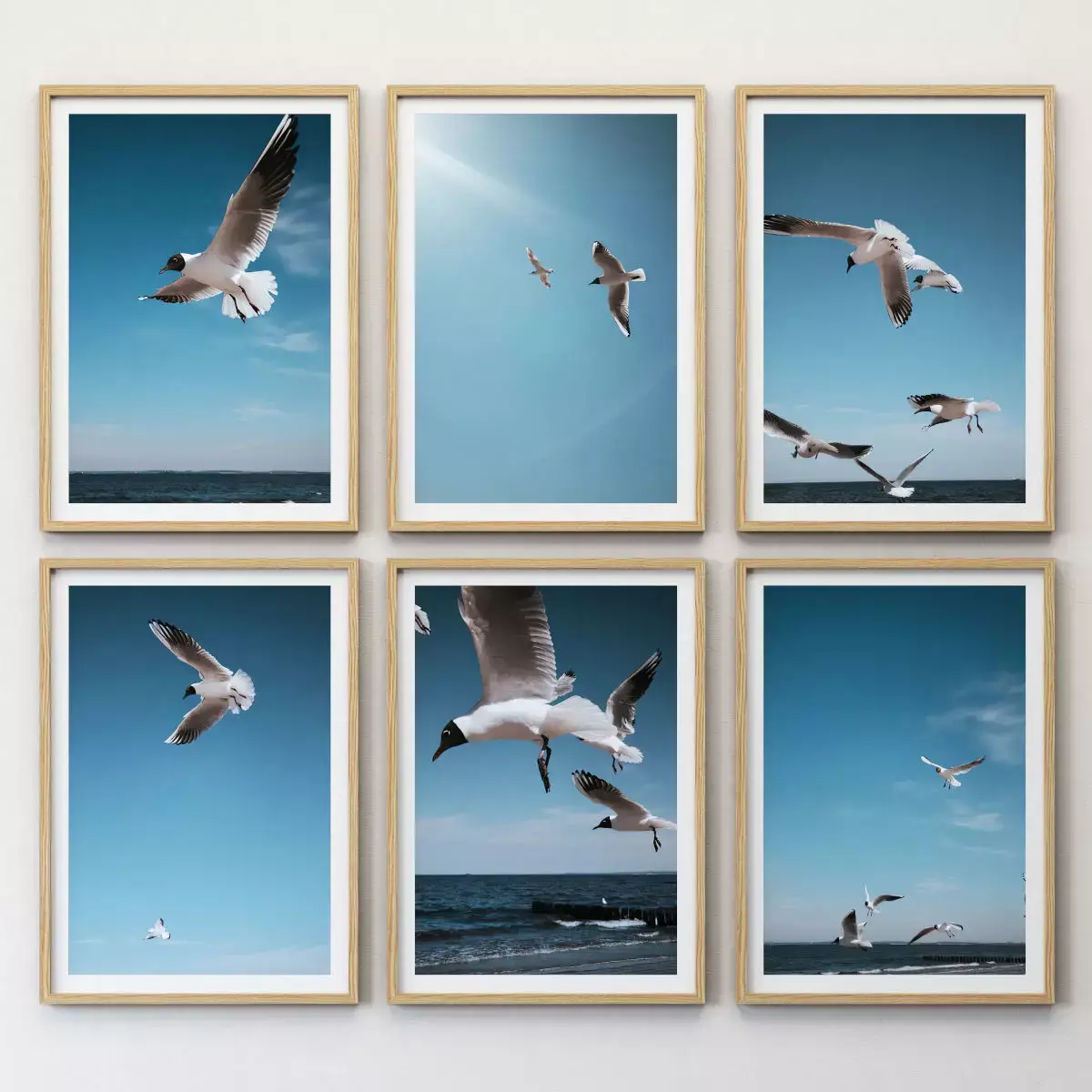 JUNIQE Seagulls Poster 3D model