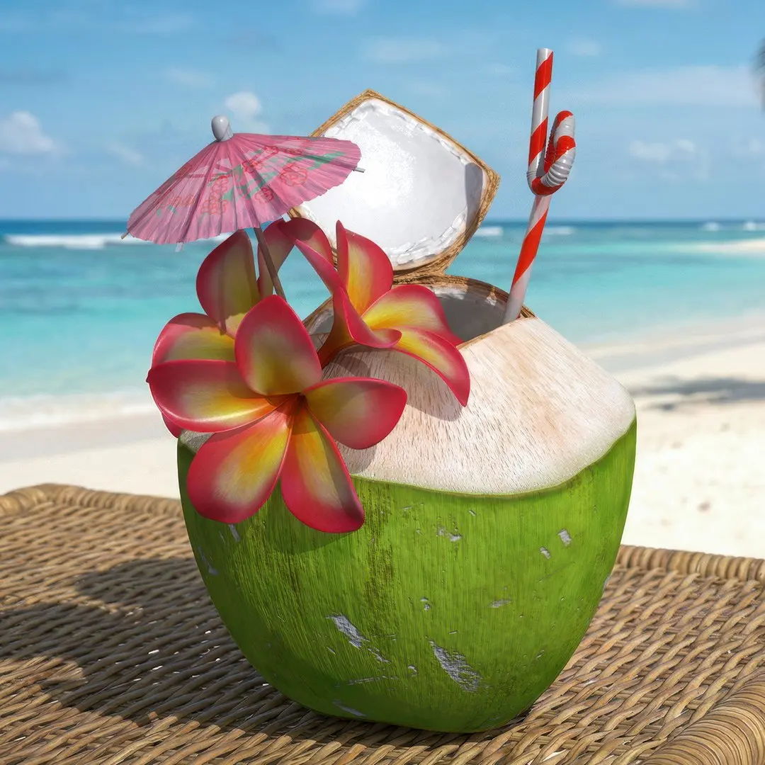 Tropical Coconut Beverage with Flowers and Umbrella 3D model