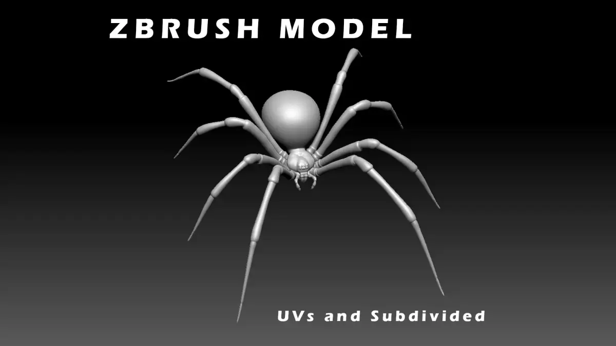 Black Widow Spider Low-poly 3D model