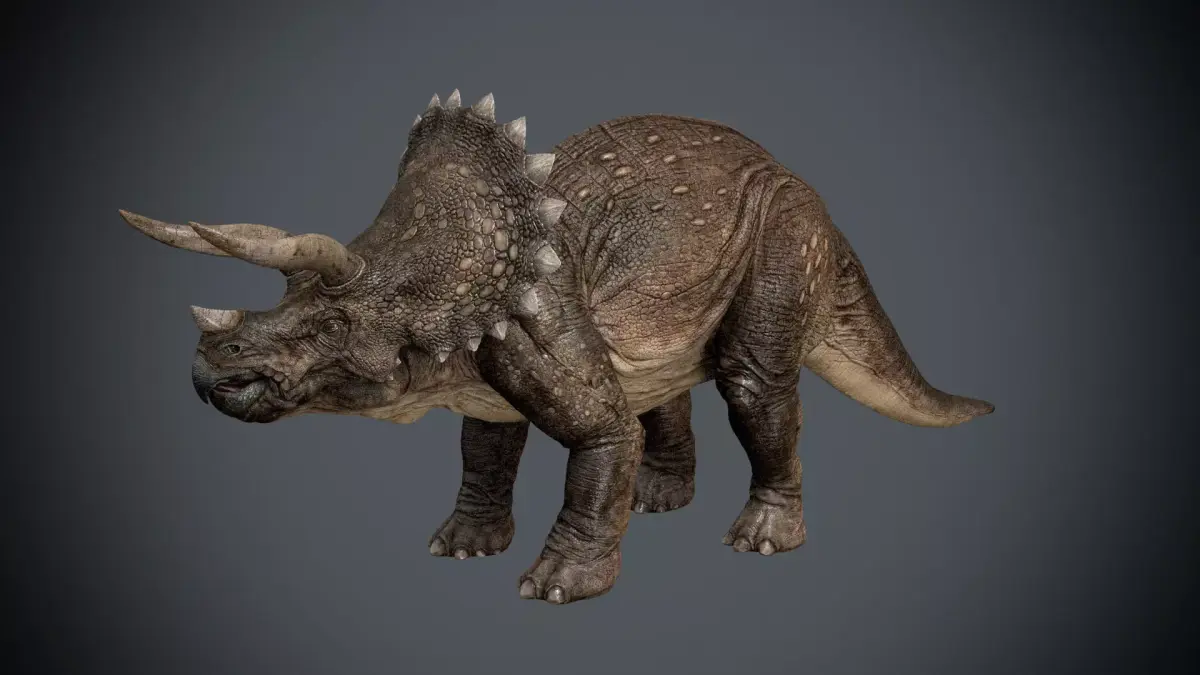Triceratops dinosaur 3D model 2
