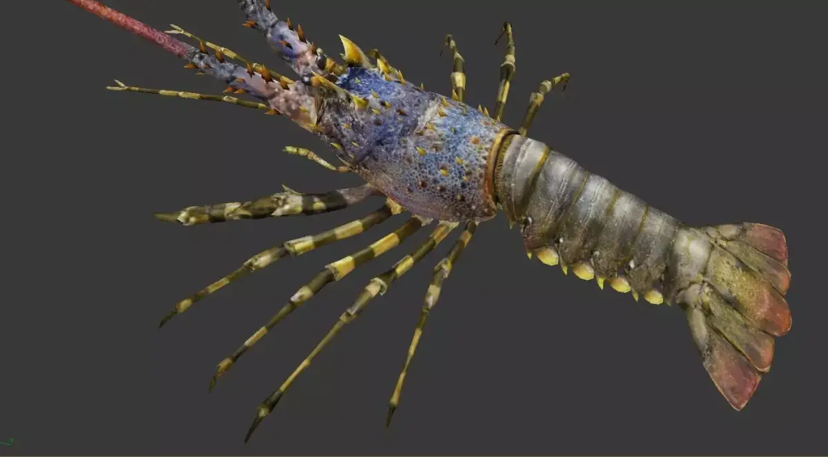Australian lobster Low-poly 3D model purchase