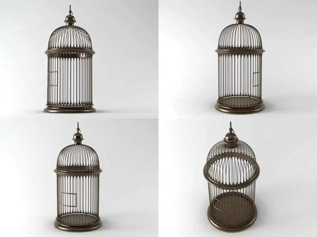 Birdcage four different bird cages 3D model