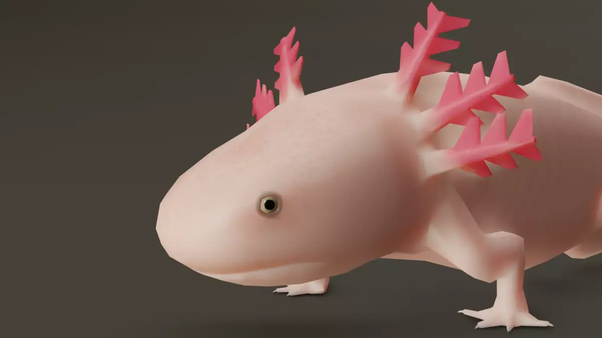 Low Poly Salamander 3D model lizard Low-poly 3D model
