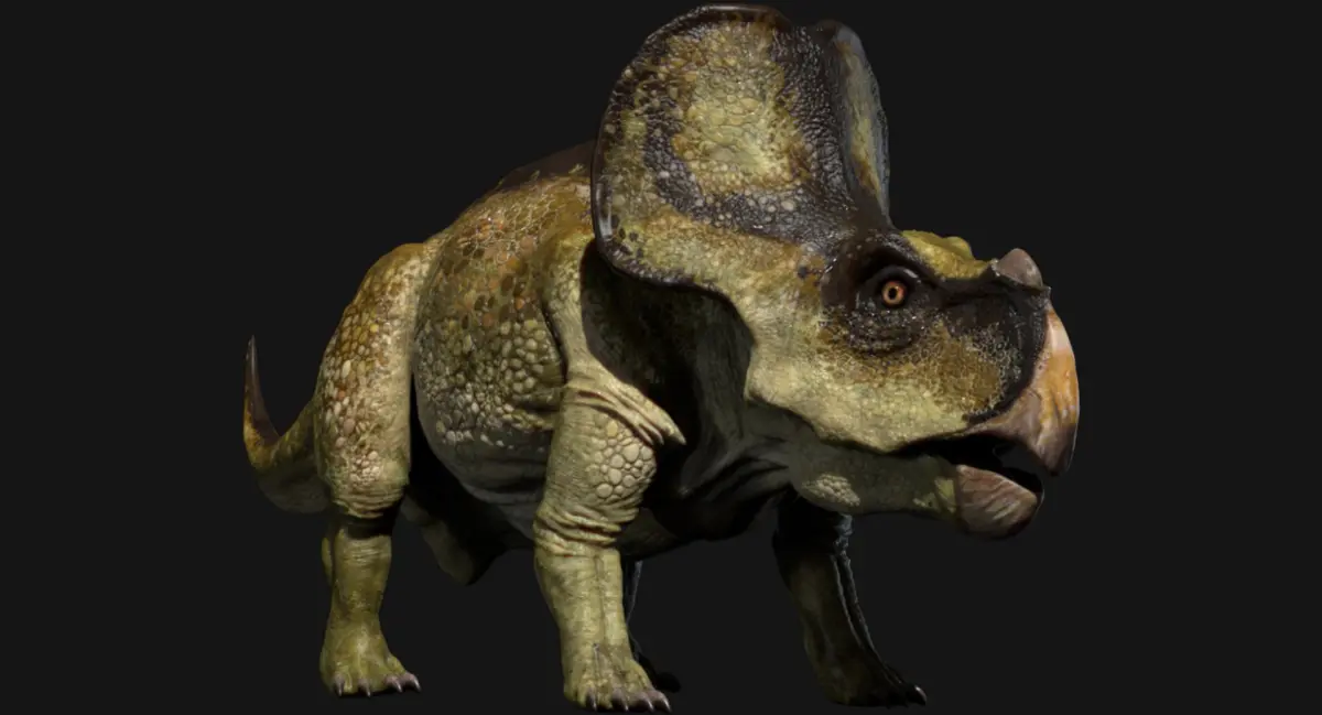 Protoceratops 3D (Rigged) 3D model
