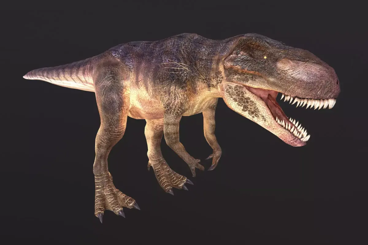 Giganotosaurus t - rex Low-poly 3D model