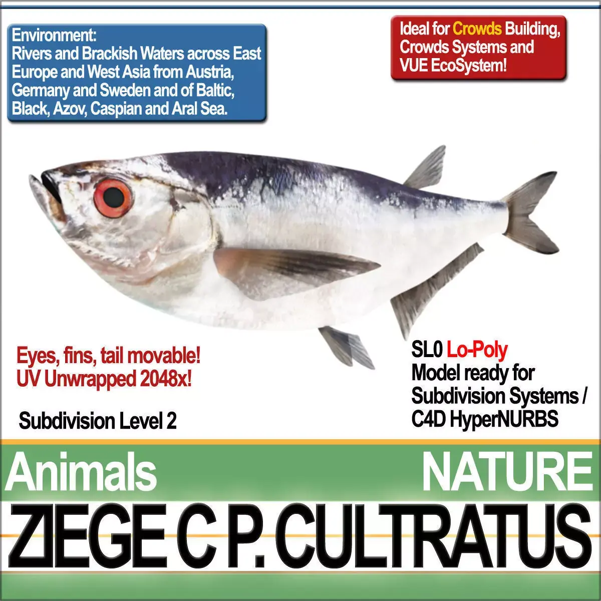 Ziege C zege cp cultivatus 3D model