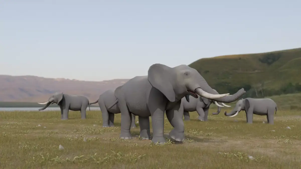 Elephant Low-poly 3D model buy