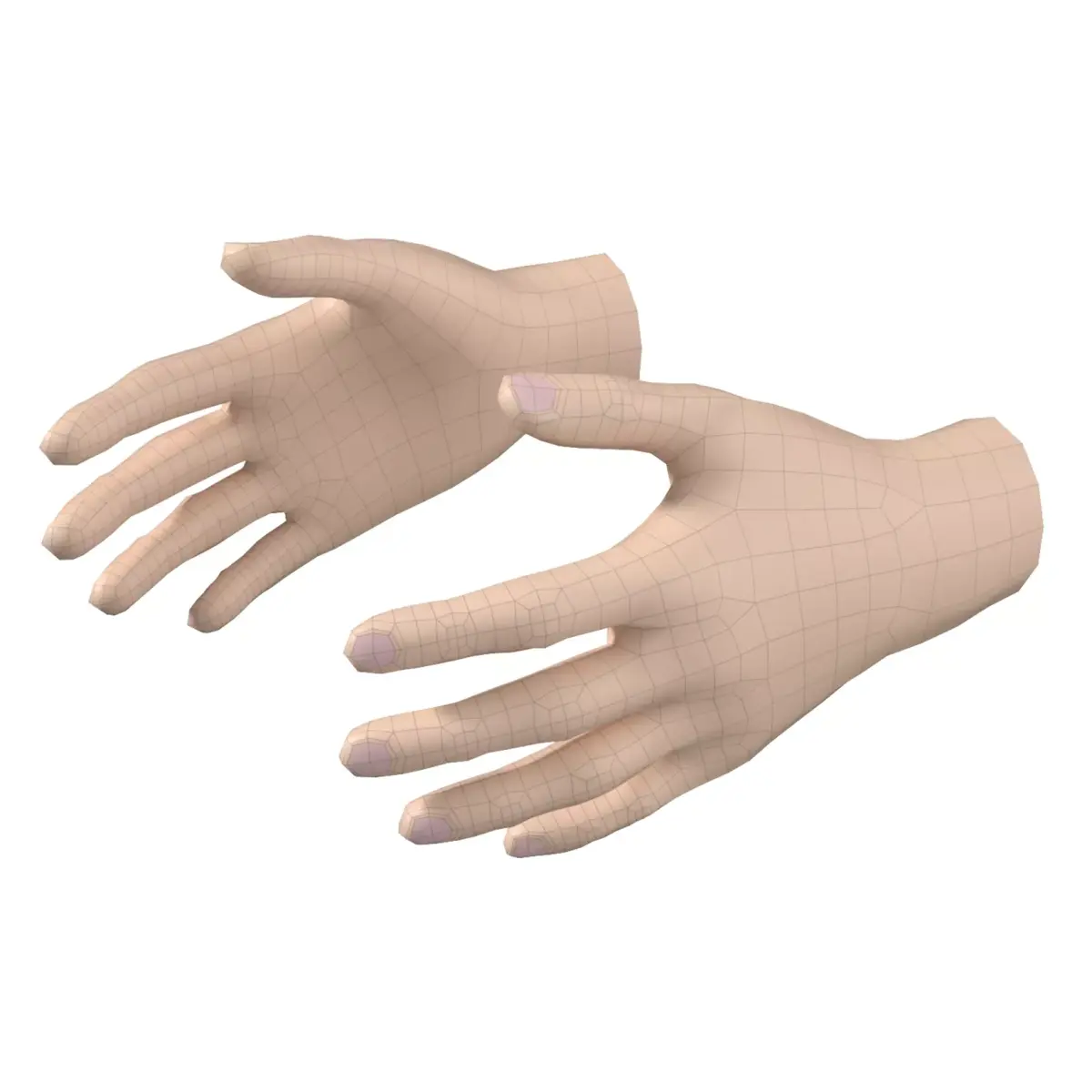 Female Hand Base Mesh 05 3D model