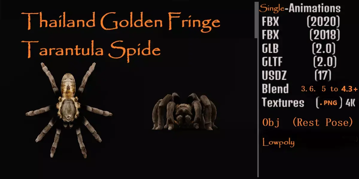Tarantula Spider Low-poly 3D model get