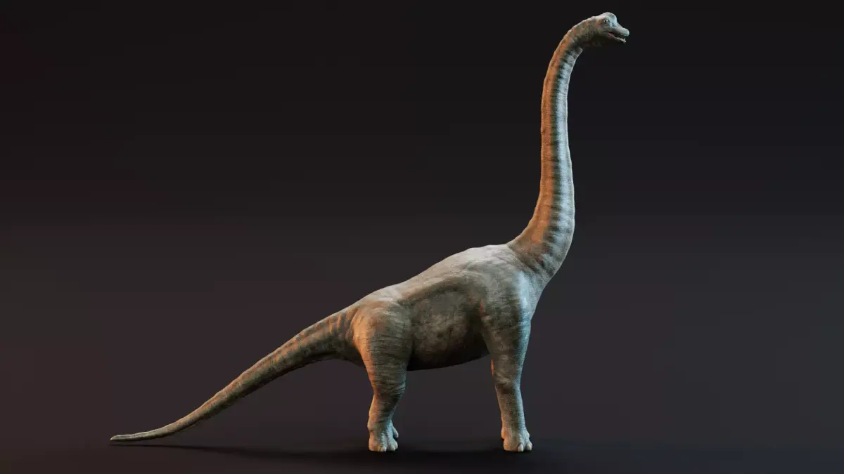 Brachiosaurus - Realistic Dinosaur 3D model