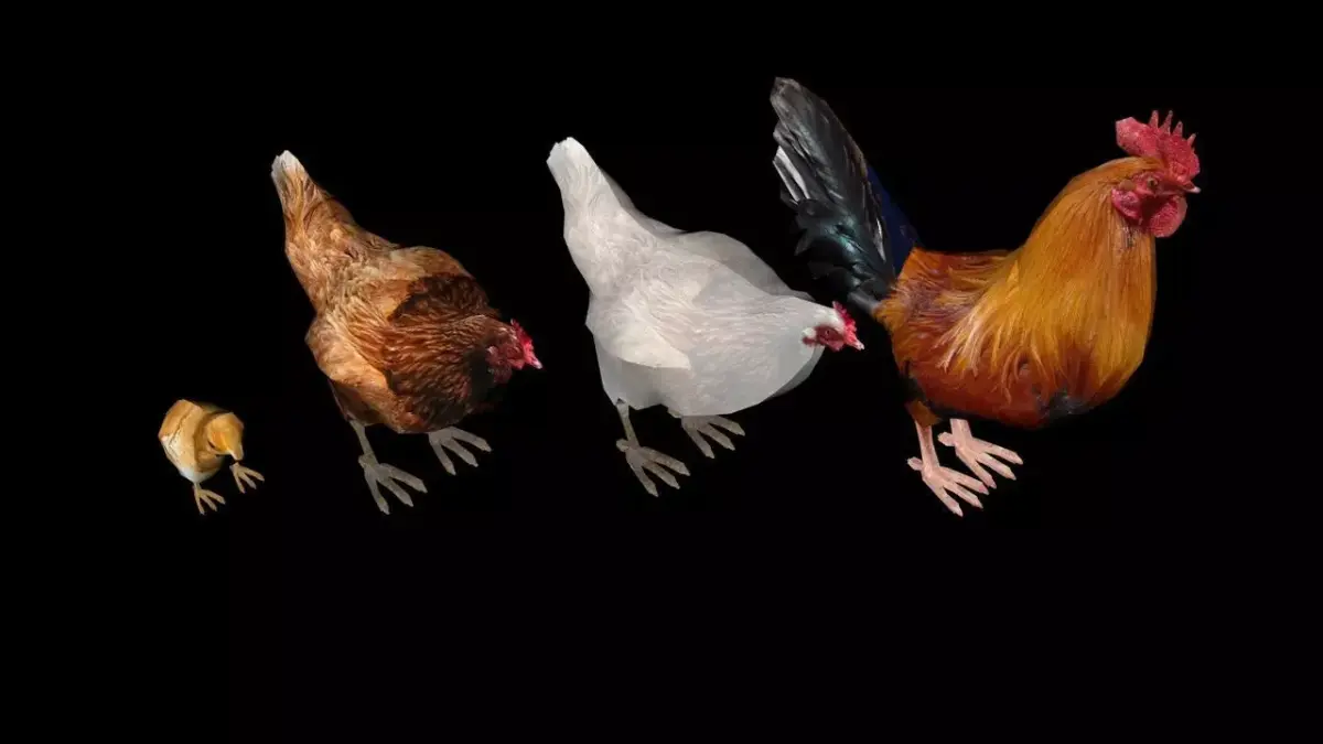 All Chickens 3D Design Free 3D model