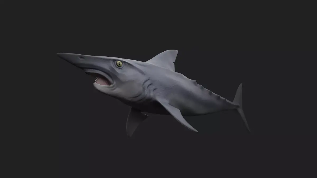 Helicoprion Low-poly 3D model