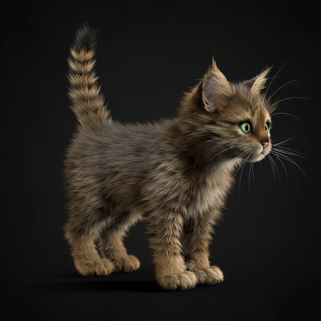 Kitten Tabby 3D model
