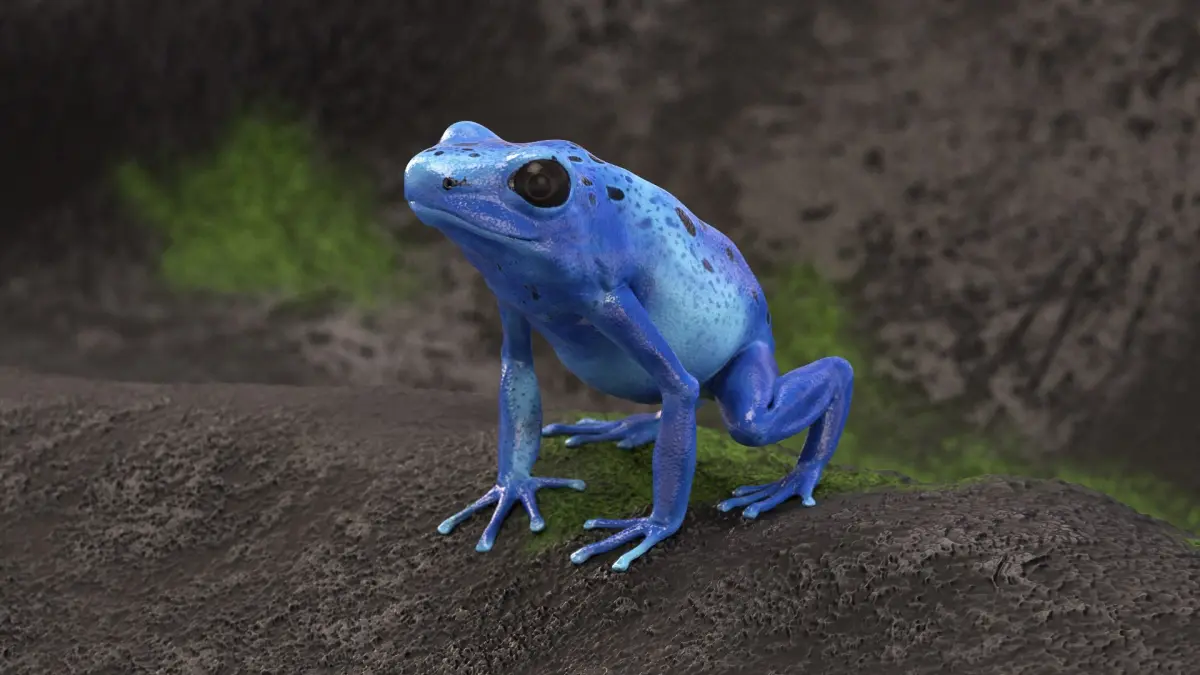 Blue Poison Dart Frog Animated 3D model
