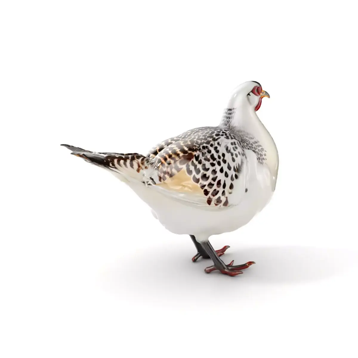 Elegant Pheasant D Model Pack for Interactive and Rendering Uses Low-poly 3D model