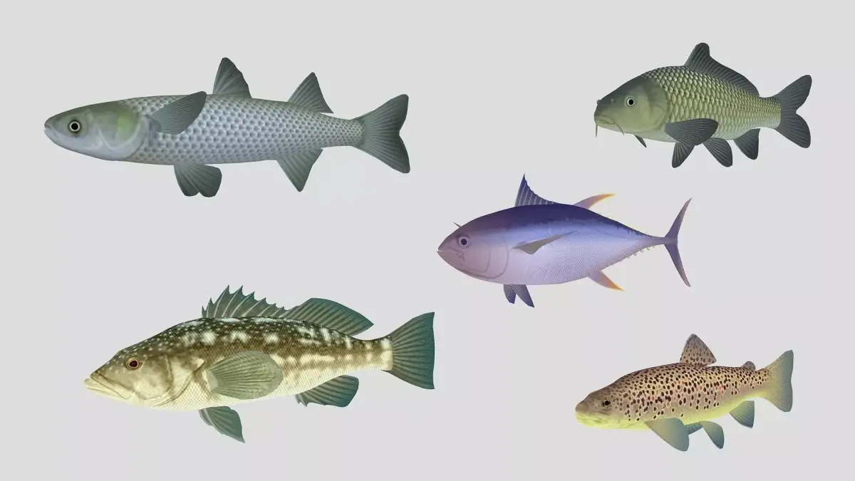 Fish Collection 05 Low-poly 3D model