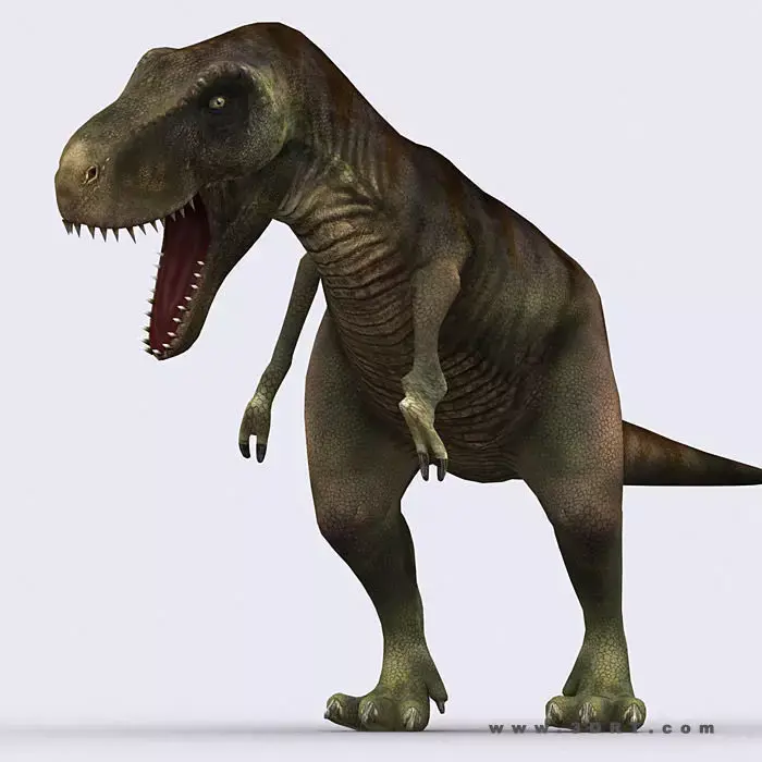 3DRT - Dinosaurs - Tyrannosaurus Low-poly 3D model