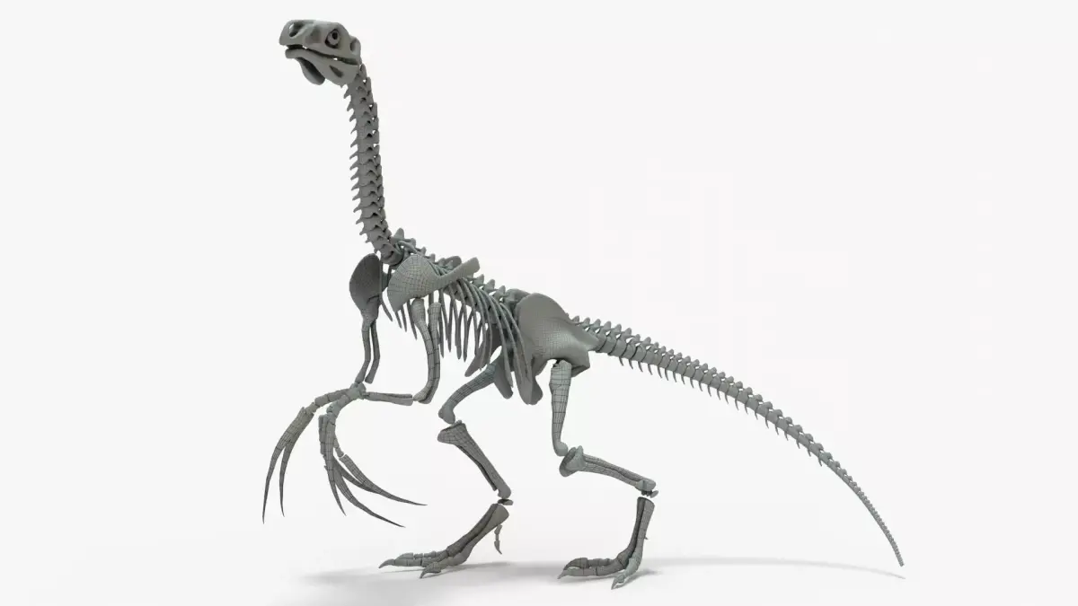 Therizinosaurus Rigged Skeleton Low-poly 3D model