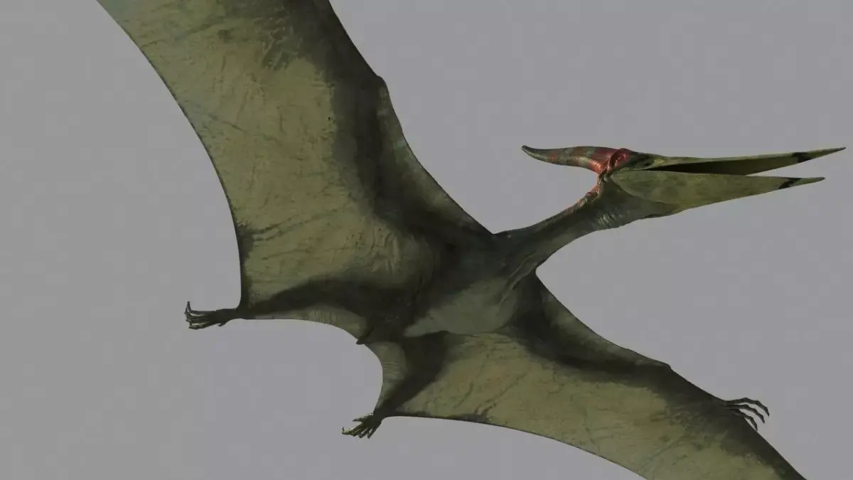 Pterodon dinosaur flying in sky 3D model