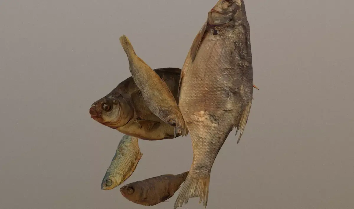 Scanned photorealistic dried fish Low-poly 3D model