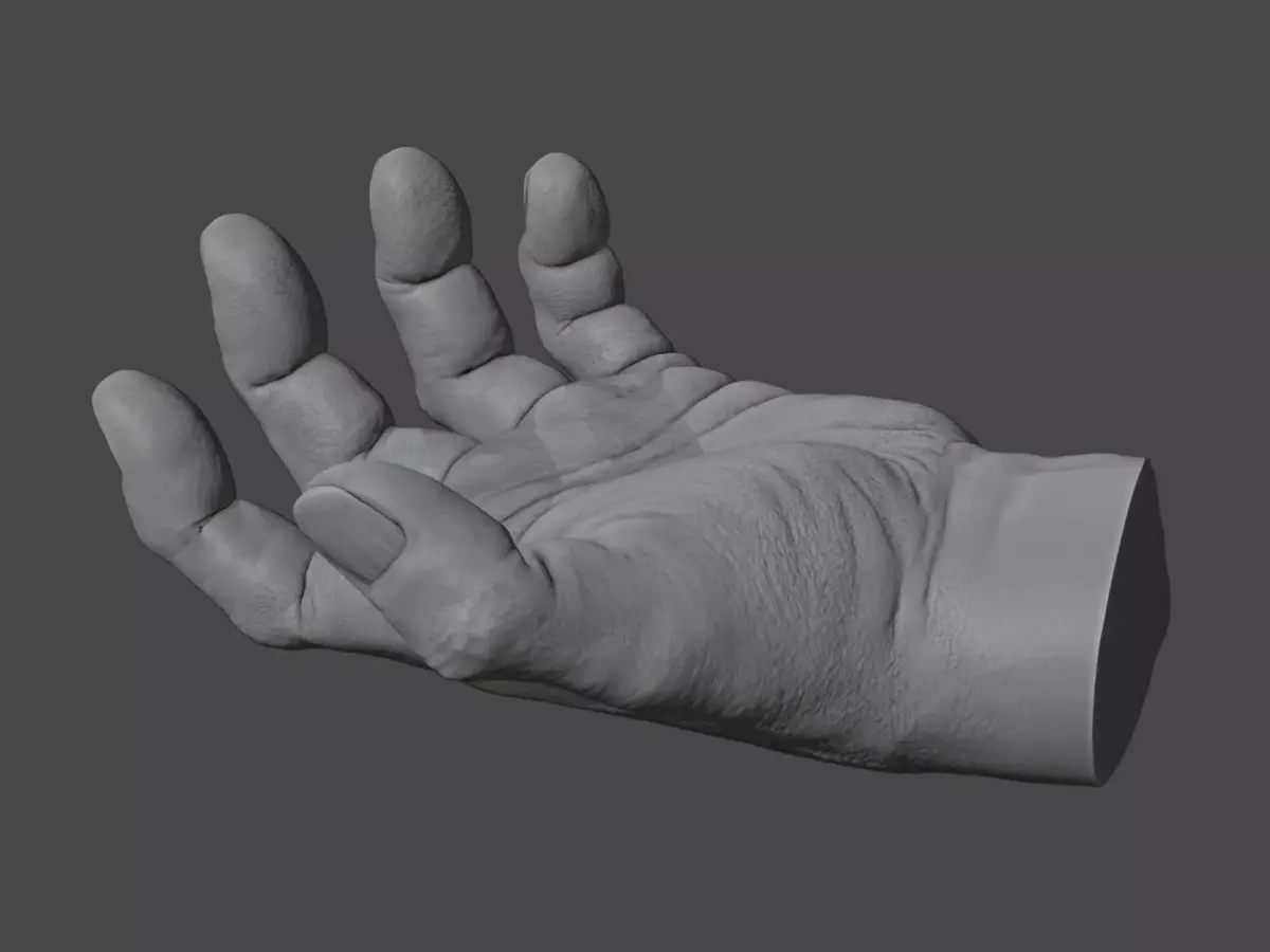 Human hand 3D model buy