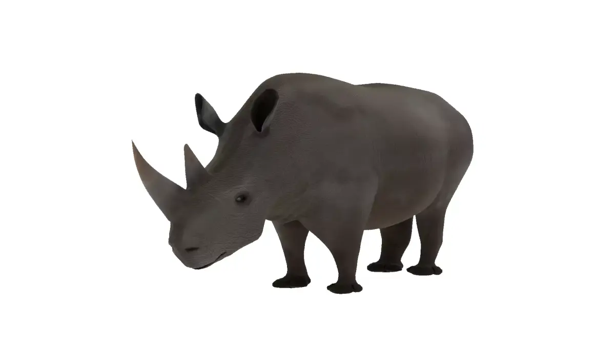 Rhino 3D Model Rigged and Animated Low-poly 3D model
