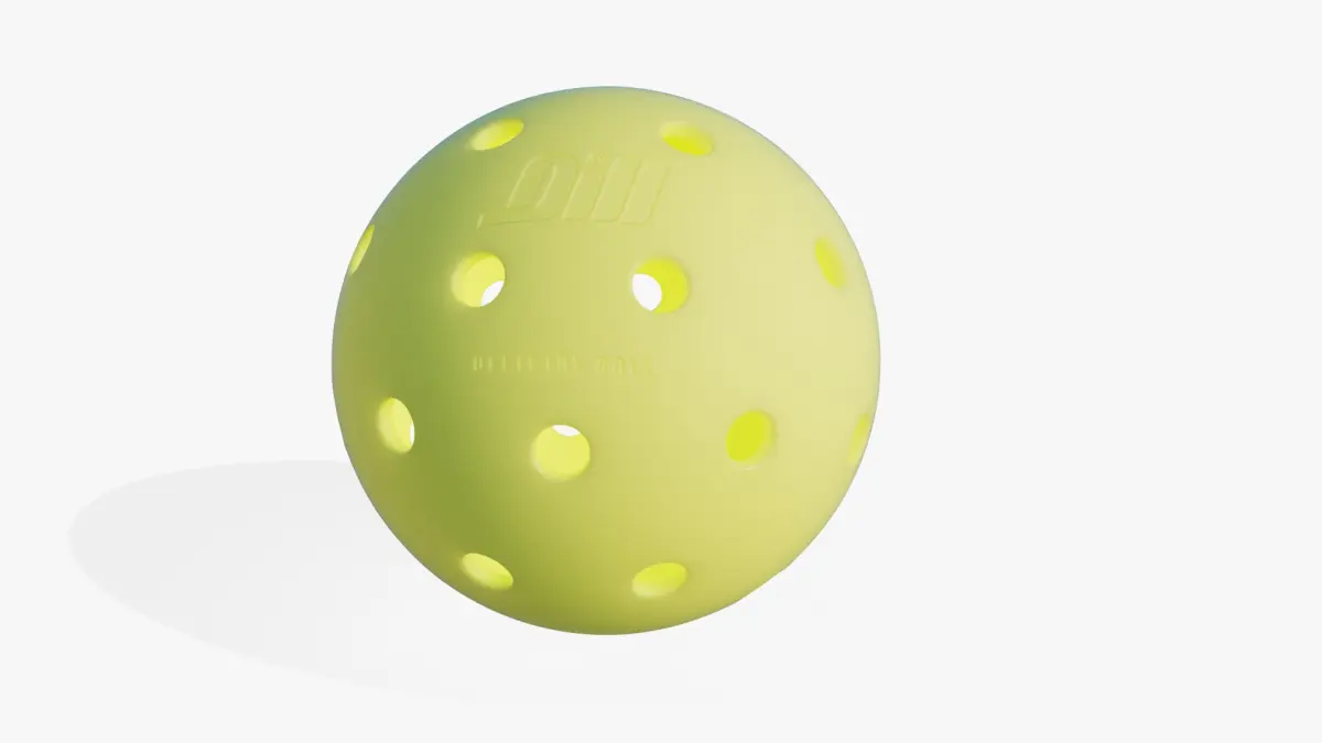 Outdoor Pickleball 3D model