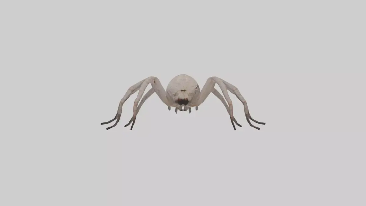Huntsman Spider Low-poly 3D model