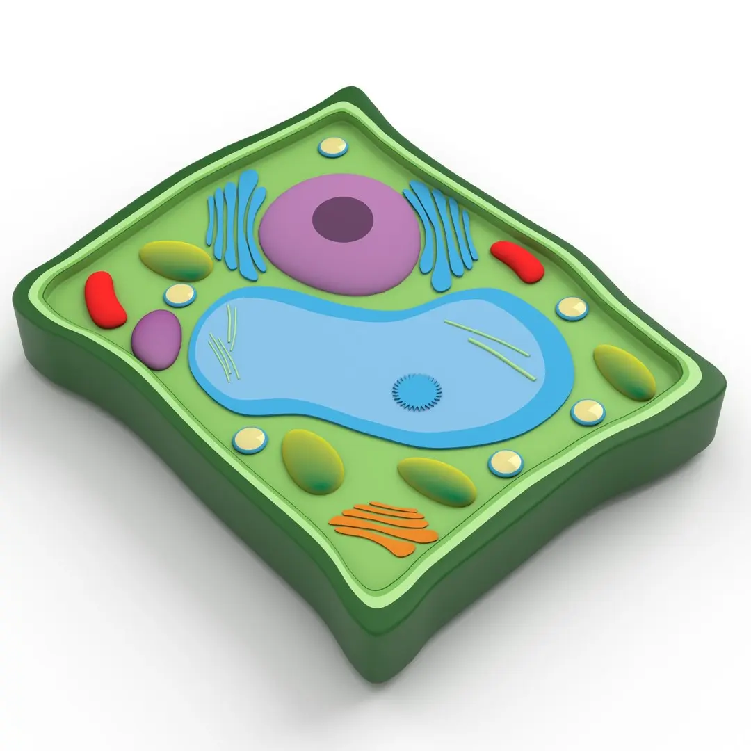 Plant Cell v3 3D model